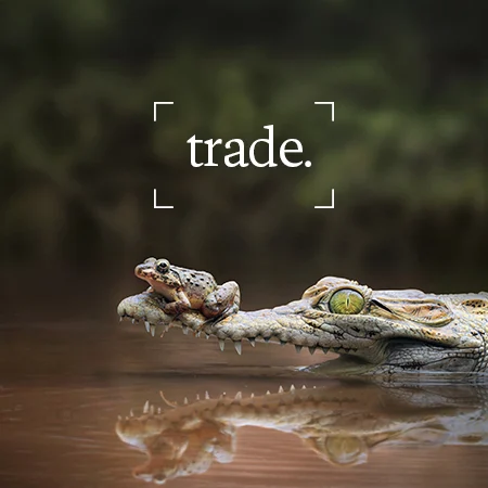 Trading differently, not less: when resilience beats efficiency
