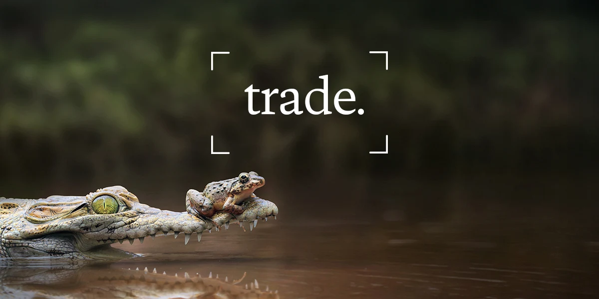 Trading differently, not less: when resilience beats efficiency