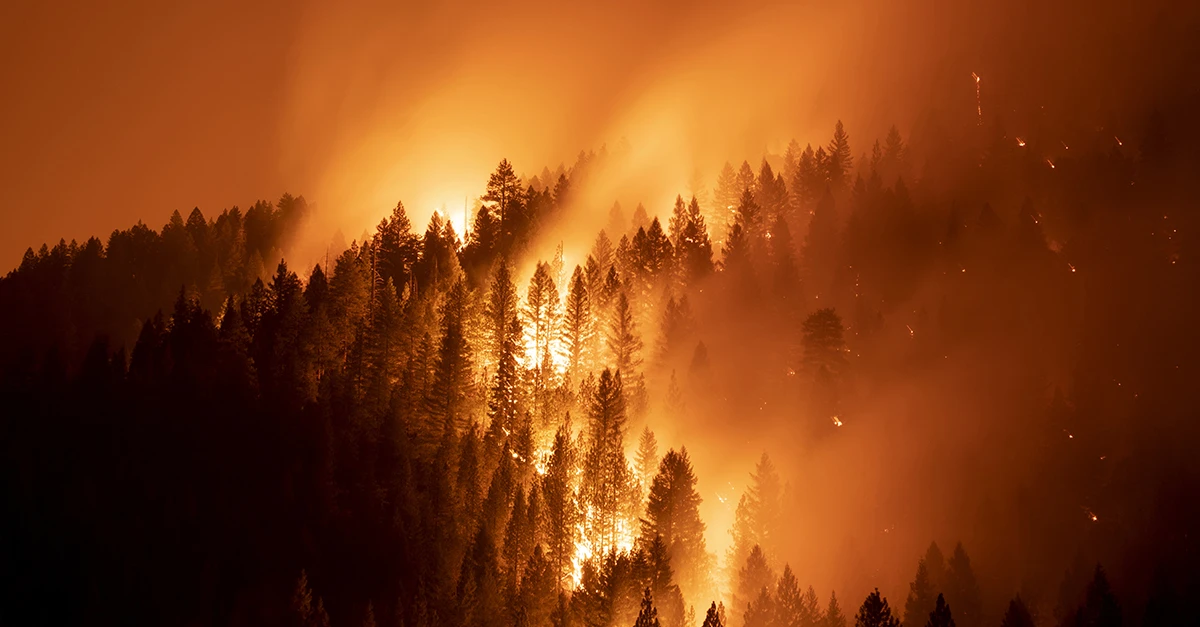 In a hotter, riskier world, nature is critical economic infrastructure