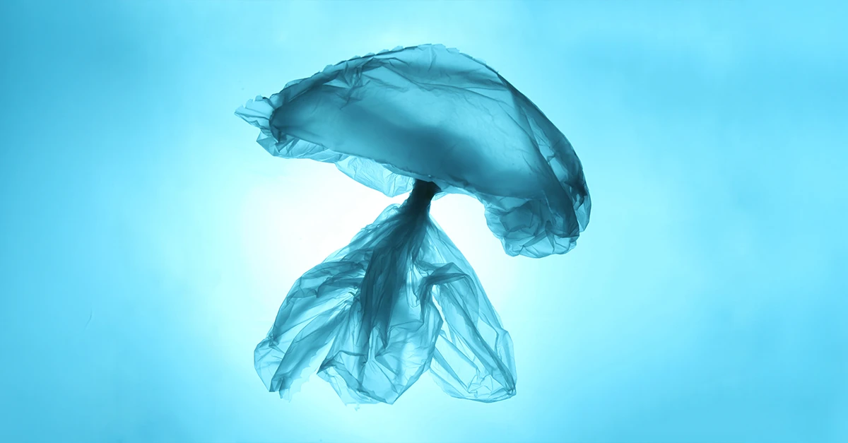 Plastic pollution: the plastic treaty setback in Geneva and the road ahead