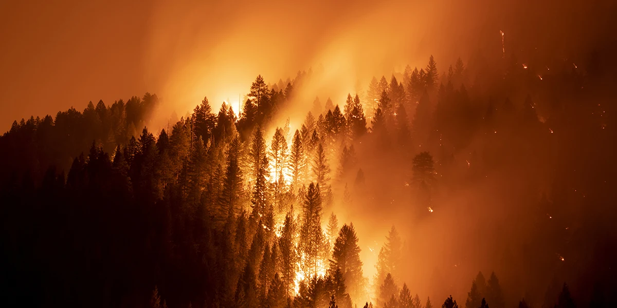 In a hotter, riskier world, nature is critical economic infrastructure